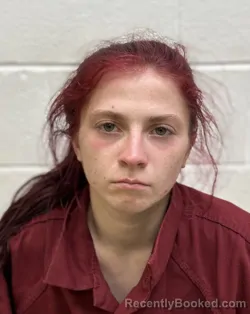 Mugshot of SERENA JADE ODELL booked in Rutherford County, North Carolina on April 26, 2026