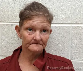 Mugshot of LATASHA DAWN STROUD booked in Rutherford County, North Carolina on May 19, 2026