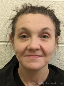 Mugshot of JAMIE ALICE MEARS