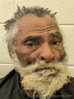 Mugshot of THEODORE JOHNSON