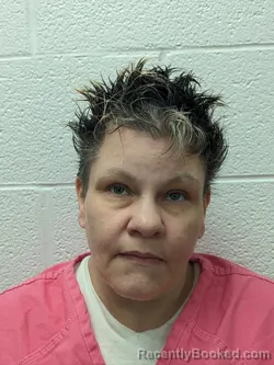 Mugshot of SUSAN LYNN COMSTOCK