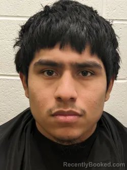 Mugshot of YAER NAVA-CEDILLO