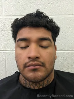 Mugshot of CARLOS MAURICIO GASCA-MENDOZA