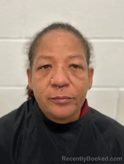 Mugshot of CARLYER PLESHETTE HOUSTON