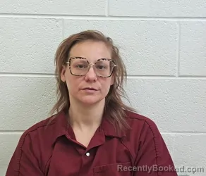 Mugshot of CHRISTINA LEE GOUGE