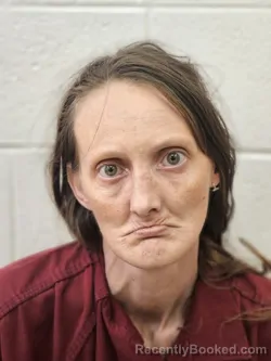 Mugshot of ELIZABETH RENEE EFFLER booked in Rutherford County, North Carolina on April 27, 2026