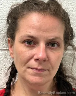 Mugshot of JAMIE ANNE BURNETTE booked in Rutherford County, North Carolina on July 21, 2026