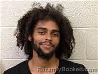 Mugshot of Dominique Chance Fernanders booked in Rutherford County, North Carolina on August 10, 2026