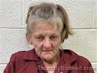 Mugshot of Tracie Lynn Mckinney booked in Rutherford County, North Carolina on August 18, 2026