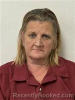 Mugshot of Lisa Rae Wilson booked in Rutherford County, North Carolina on October 7, 2026