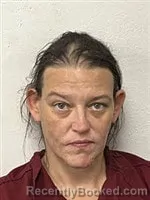 Mugshot of Brandy Nicole Wilson booked in Rutherford County, North Carolina on October 21, 2026