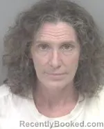 Mugshot of Karisa Lynn Doucet booked in Houston County, Minnesota on June 24, 2026