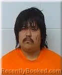 Mugshot of Audre Harrison booked in Hubbard County, Minnesota on June 8, 2026