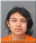 Mugshot of Halo Finely booked in Hubbard County, Minnesota on July 14, 2026