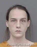 Mugshot of Joshua Kenneth Holscher