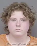 Mugshot of Elizabeth Ann Treichel