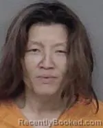 Mugshot of Chong Xiong booked in Isanti County, Minnesota on July 27, 2026