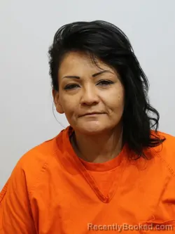 Mugshot of VICKY GARBOW booked in Itasca County, Minnesota on April 24, 2026