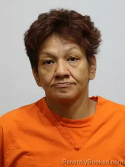 Mugshot of KRISTEN WHITE booked in Itasca County, Minnesota on July 13, 2026