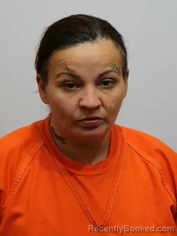 Mugshot of RIKKI SKOG