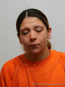 Mugshot of BRANDIE GRAUMAN