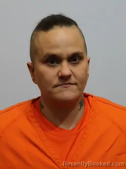 Mugshot of BRIANA BALDWIN