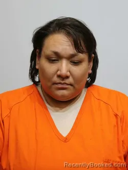 Mugshot of MYRA WADE booked in Itasca County, Minnesota on May 1, 2026