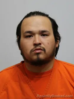 Mugshot of ADAM WHITE