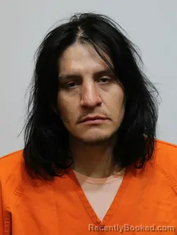 Booking photo from Itasca County, Minnesota