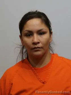 Mugshot of CHANTEL NOVAK