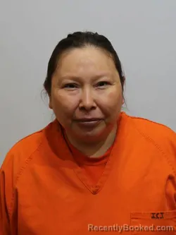 Mugshot of APRIL HURD booked in Itasca County, Minnesota on March 26, 2026