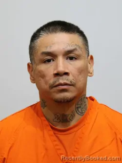 Mugshot of ROBERT JONES