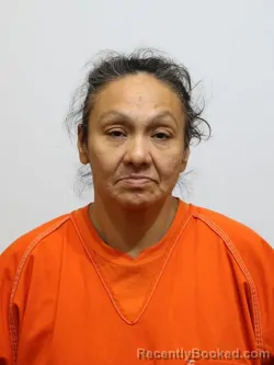 Mugshot of SHANNON WHITE booked in Itasca County, Minnesota on April 11, 2026