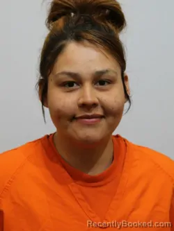 Mugshot of JORDAN JOHNSON