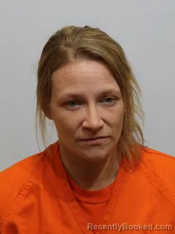 Mugshot of AMANDA FISHER