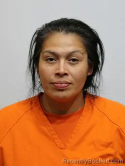 Mugshot of AUNDRIA DUNN booked in Itasca County, Minnesota on July 13, 2026