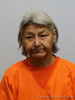 Mugshot of PAMELA JACOBS