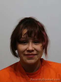 Mugshot of ENDONIS ELLIS