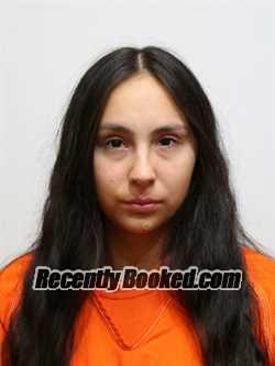 Booking photo from Itasca County, Minnesota