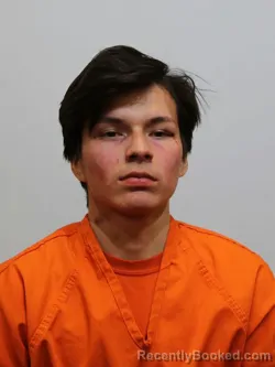 Mugshot of ELIAS HARPER booked in Itasca County, Minnesota on March 17, 2026