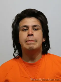 Mugshot of SERGIO TORRES