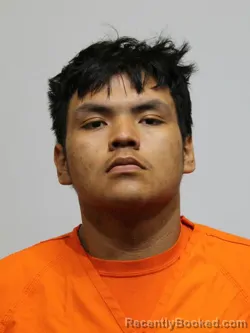 Mugshot of WARRIOR BOSWELL