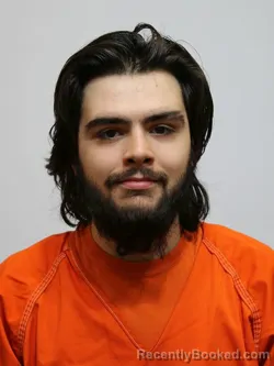 Mugshot of DANIEL GRAY