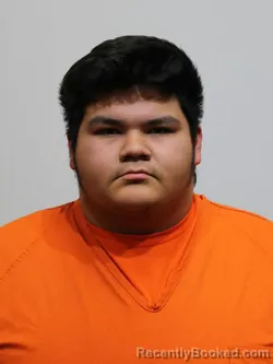 Mugshot of WAYNE CRONIN booked in Itasca County, Minnesota on March 17, 2026