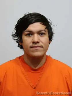 Mugshot of ROMONDO PAPASODORA booked in Itasca County, Minnesota on March 18, 2026