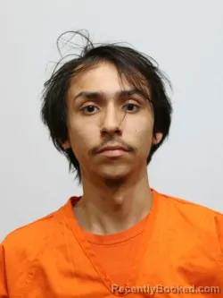 Mugshot of BRUCE HISLAW booked in Itasca County, Minnesota on April 21, 2026