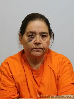 Mugshot of DYANA BRUCE booked in Itasca County, Minnesota on April 30, 2026