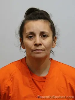 Mugshot of MICHELLE TAYLOR booked in Itasca County, Minnesota on July 17, 2026