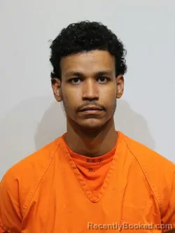 Booking photo from Itasca County, Minnesota