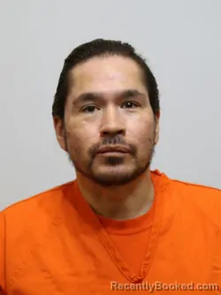 Mugshot of DAVID STAPLES